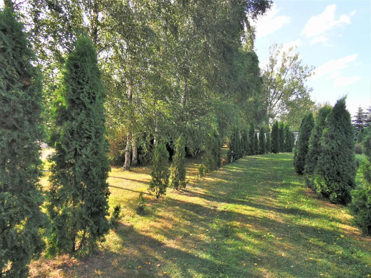 Brzozowe Zacisze Villa Łagów Kültér fotó